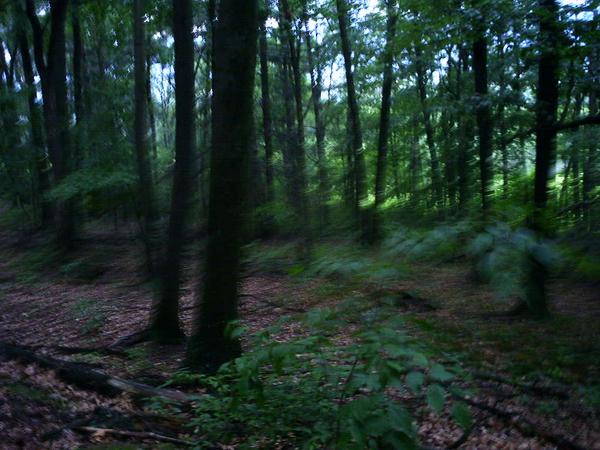 l_05233ef3073228d4fde81a09566896e6.jpg