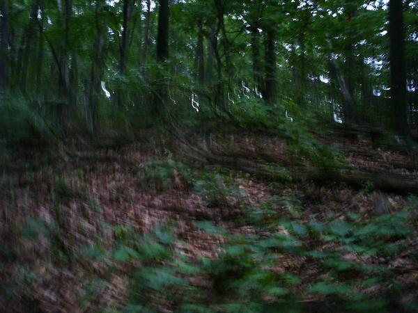 l_70c079f8d9e62b75d3884134201325c9.jpg
