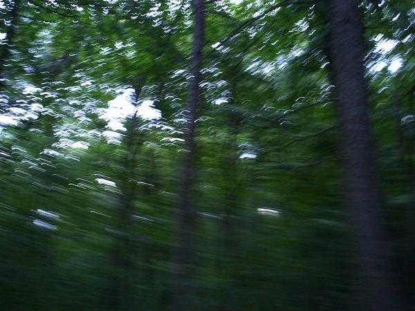 l_bfa1a8e78be039ff886f3a4f4f08ac39.jpg