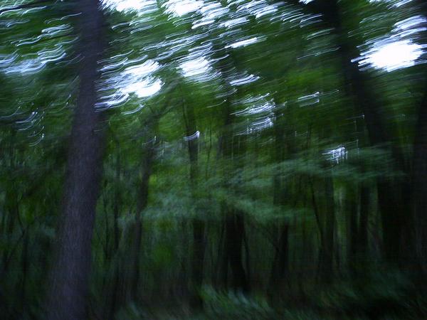 l_d29bf6f3fd2b5d128aec5245e4c042b2.jpg
