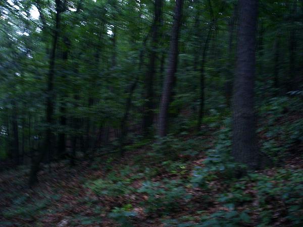 l_dd3f0aa3e177f743ab1ed83d7f783933.jpg