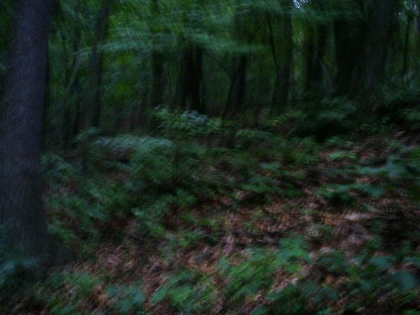 l_e735834e8e749e9f48e9ec45f98ca09d.jpg